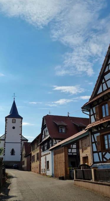 Alsace Bas-Rhin Logis Independant Avec Piscine Privee Apartment Alteckendorf Bagian luar foto