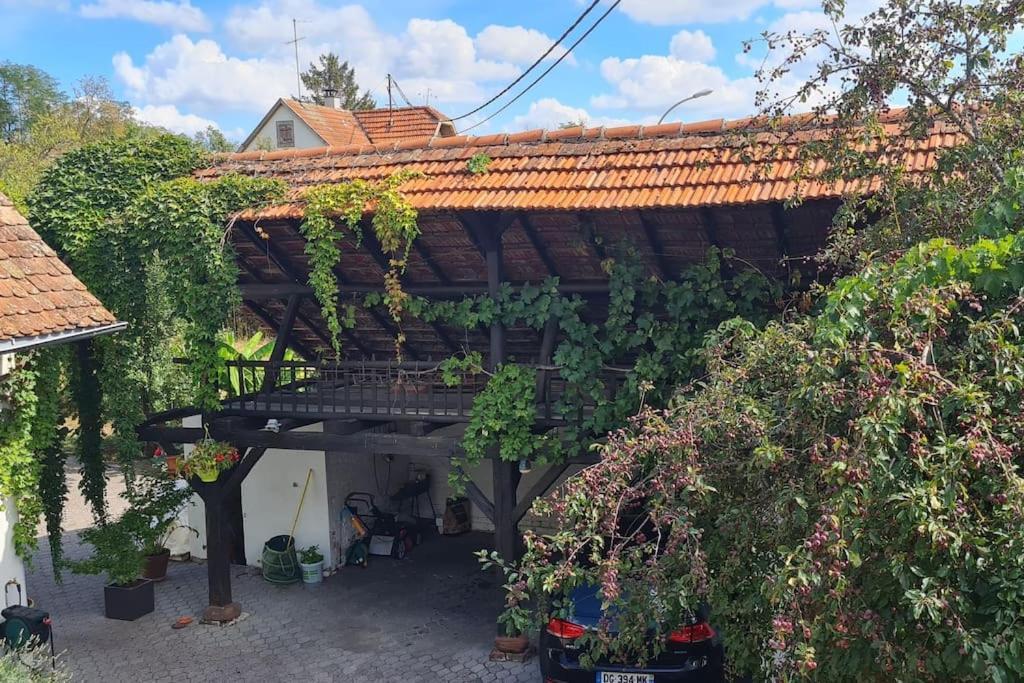 Alsace Bas-Rhin Logis Independant Avec Piscine Privee Apartment Alteckendorf Bagian luar foto